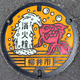 Image for article titled The Manhole Covers in Japan Are Absolutely Beautiful
